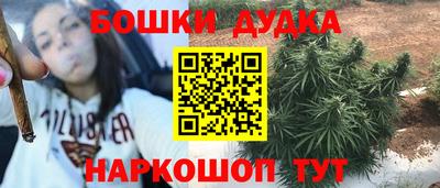 прущие грибы Боровичи