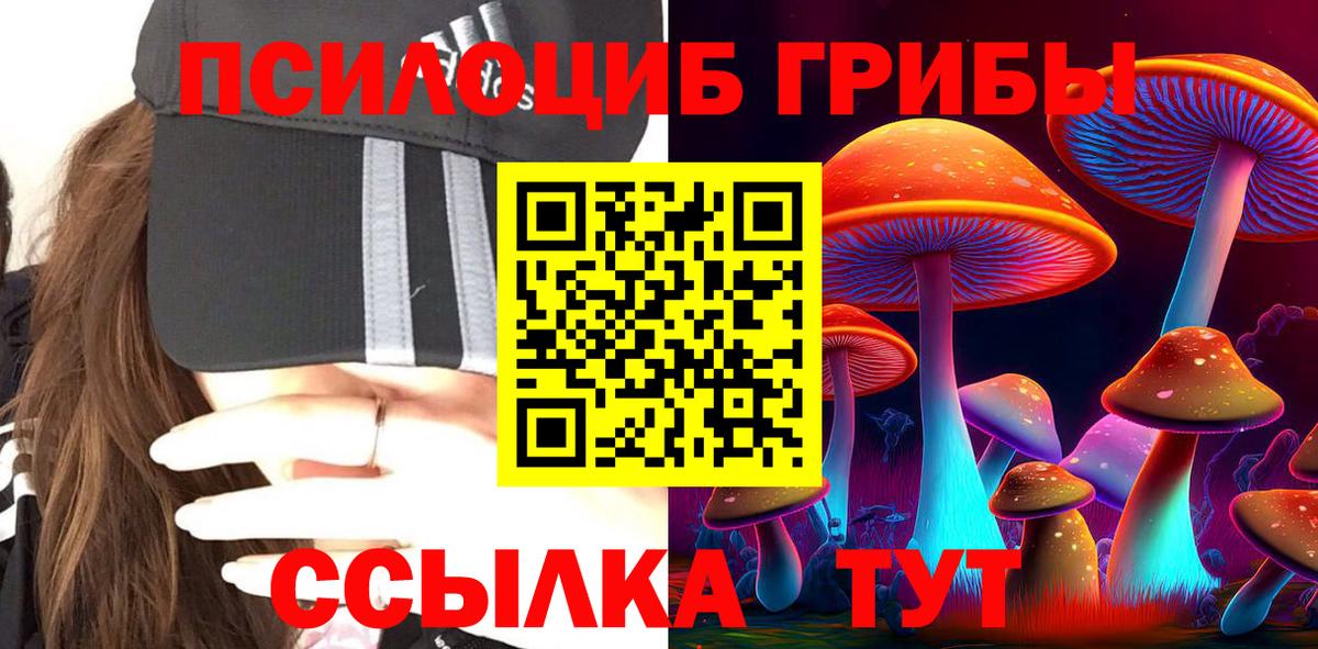 Галлюциногенные грибы Cubensis Тамбов