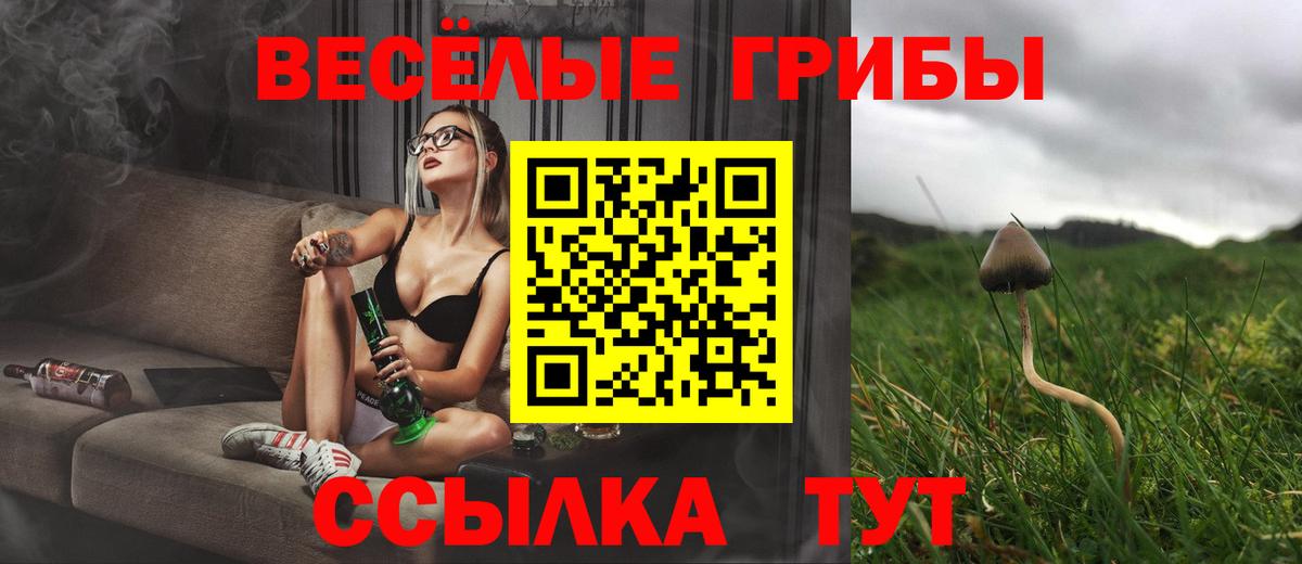 Тамбов  Галлюциногенные грибы Psilocybe  Псилоцибиновые грибы Magic Shrooms  Вход с VPN 